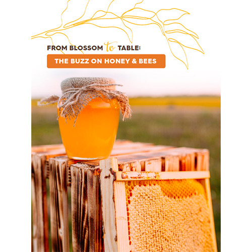 From Blossom To Table Brochure